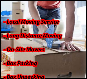 Packers And Movers Noida Sector 17
